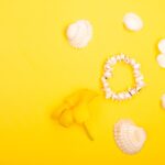 Reddybook Review: How This Platform Enhances Learning and Gaming with 11xplay Integration